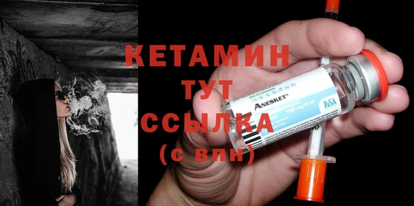 крисы Бородино