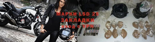 крисы Бородино
