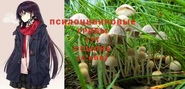 крисы Бородино