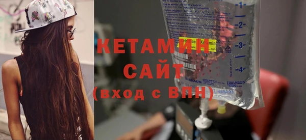 крисы Бородино