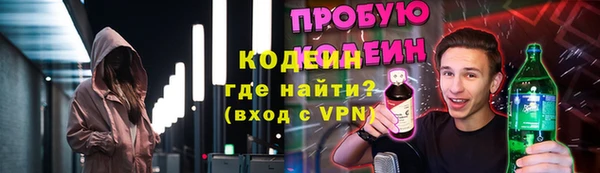 крисы Бородино