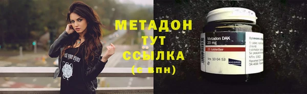 крисы Бородино