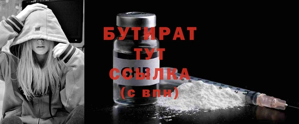 крисы Бородино