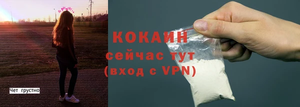 крисы Бородино