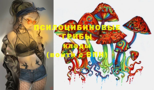 спиды Бронницы