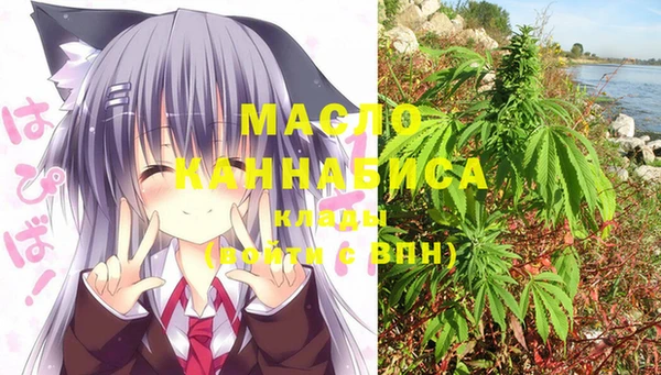 крисы Бородино