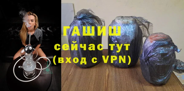 крисы Бородино