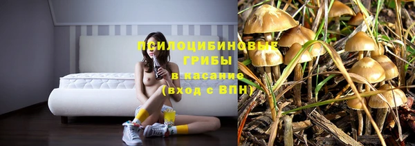 герыч Бугульма
