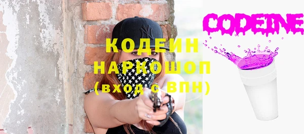 крисы Бородино