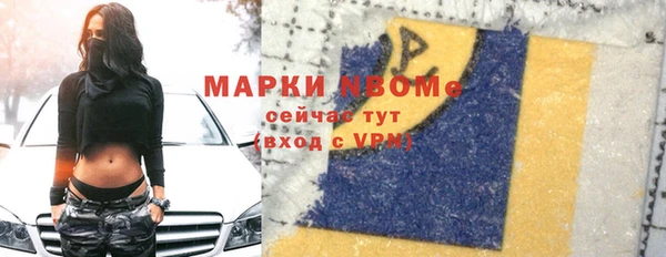 крисы Бородино