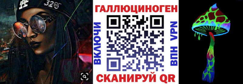 Купить  Звенигово  Галлюциногенные грибы Psilocybe 